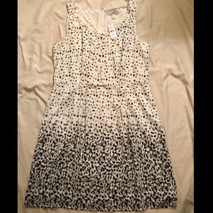 NWT Size 16 Loft Patterned Dress